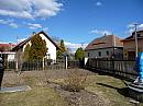 Třibřichy